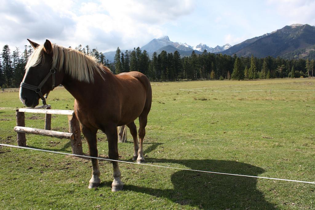 Penzion Koliba Vysoké Tatry Buitenkant foto