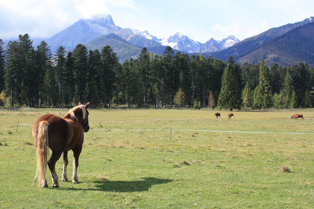 Penzion Koliba Vysoké Tatry Buitenkant foto